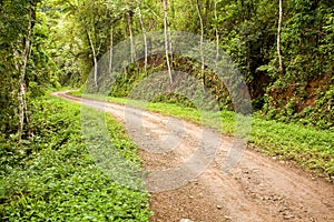 Rural dirt road