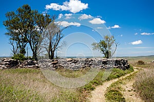 Rural dirt road