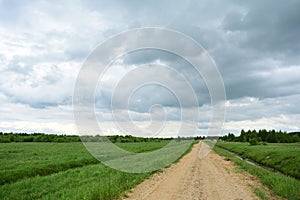 Rural dirt road along a field of plants. Water channel. Deciduous forest. There are clouds