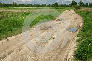 Rural dirt road between fields