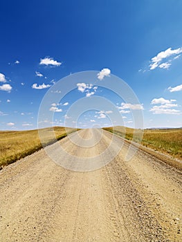 Rural Dirt Road Through Grassland