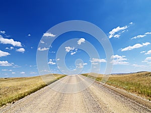 Rural Dirt Road Through Grassland