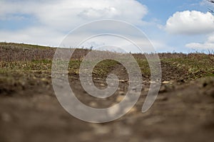 Rural Dirt Road with Grassy Path Leading up Hill