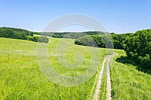 Rural dirt road through green meadow and forest under clear blue sky. summer sunny day