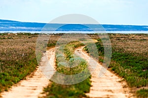 Rural dirt road landscape in steppe or desert