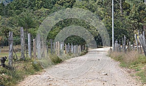 Rural road in middle of the countryside