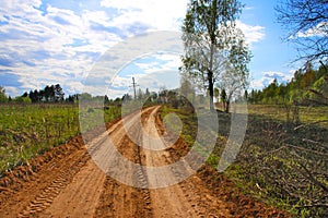 Rural dirt road, summer.