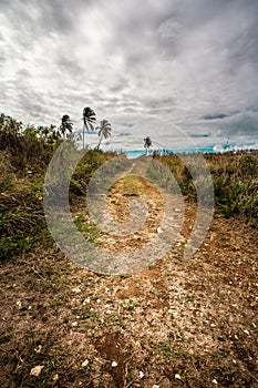 Rural dirt road through tropical Caribbean island landscape seen from Puerto Rico