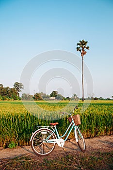 Rural dirt road tropical green rice field and bicycle in Koh Tepo, Uthaithani, Thailand