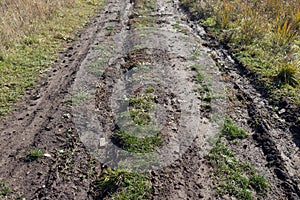 Rural dirt road, wet after rain.