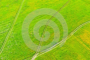 Rural dirt roads for tractors in green grass fields in summer, aerial view of heights