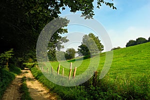 Rural dirt track in grassland