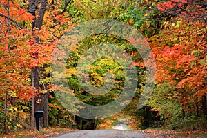 Rural drive in Washtenaw county