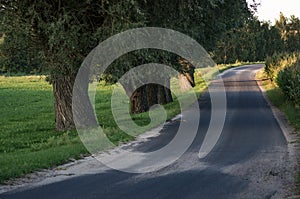 Rural dusty countryside road trough a fields and green trees.