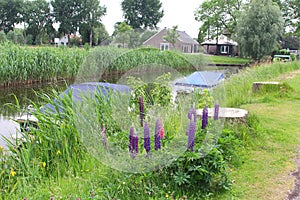 Rural Dutch landscape with canal, boats and farms, Netherlands