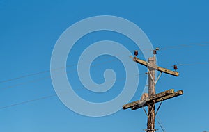 rural electrification wires