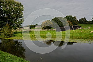 Rural England. River scene with sheep livestock grazing.