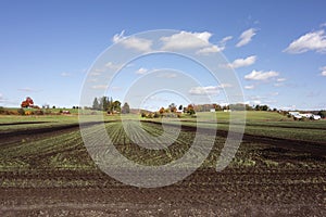 Rural Farm In Autumn