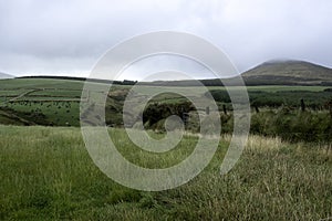 Rural farm fields in the Repiblic of Ireland