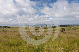 Rural Farm Land next to the Ocean