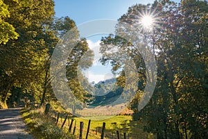 Rural farm land with quiet street through dense trees in the green countryside near a road on sunny day in France. Quiet