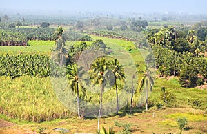 Rural farm lands in India