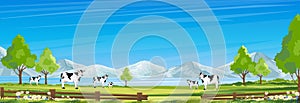 Rural farm landscape with green fields and barn animals cows, hill with blue sky and clouds, Vector cartoon Spring or Summer