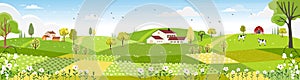 Rural farm landscape with green fields, farm house, barn, animals cow, blue sky and clouds,  Vector cartoon Spring or Summer