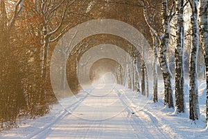 Rural farm road in winter