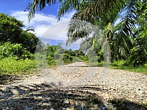 Rural farm roads like noble treasurer