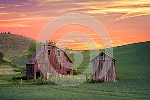 Rural farm scene at sunset with red barn