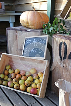 Rural farm shop produce