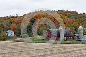 Rural Farm Site in Fall Colors