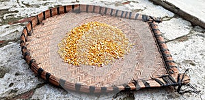 Rural farmers and people using bamboo or cane threshing basket for winnowing grains in order to remove the chaff