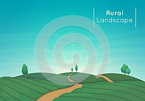 Rural farming landscape vector illustration. Green agricultural fields with trees and a dirt road.
