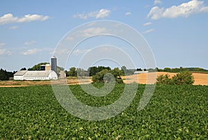 Rural farmland scenic