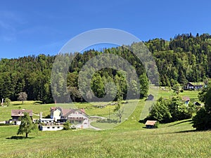 Rural farms and pastures on the slopes of the Mountain BÃ¼rgenstock Buergenstock or Burgenstock above Lake Luzerne