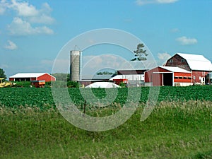 Rural Farmstead photo