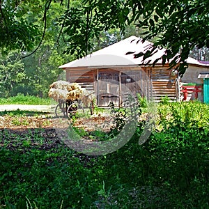 Rural farmstead in the museum complex in Yasnaya Polyana.