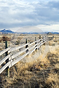 Rural fence