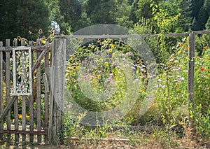 Rural fence and flower garden