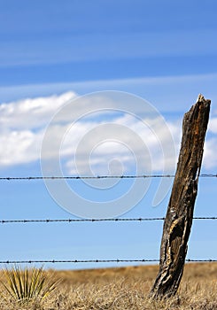 Rural Fence, Sky & Clouds