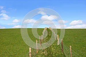 Rural Fencing