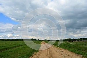 Rural field of plants and shrubs. Dirt road and stream. Forest in the distance. There are thick clouds in the sky. Green grass