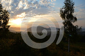 A rural field in the sun`s contoured light against a background of trees.Evening summer landscape