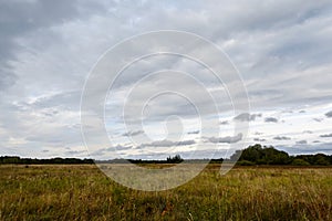 Rural field with tall yellow wild grass and wildflowers in early autumn