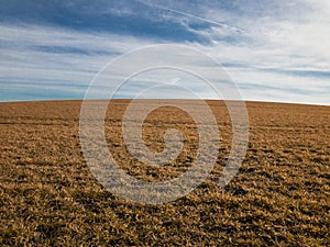 Rural field view in early spring