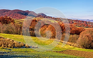 Rural fields on hills in autumn