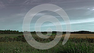 Rural fields, road and forest. The car rides along the fields. The view from the car