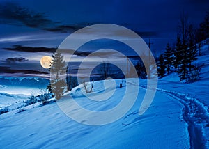 Rural footpath through snowy hillside at night